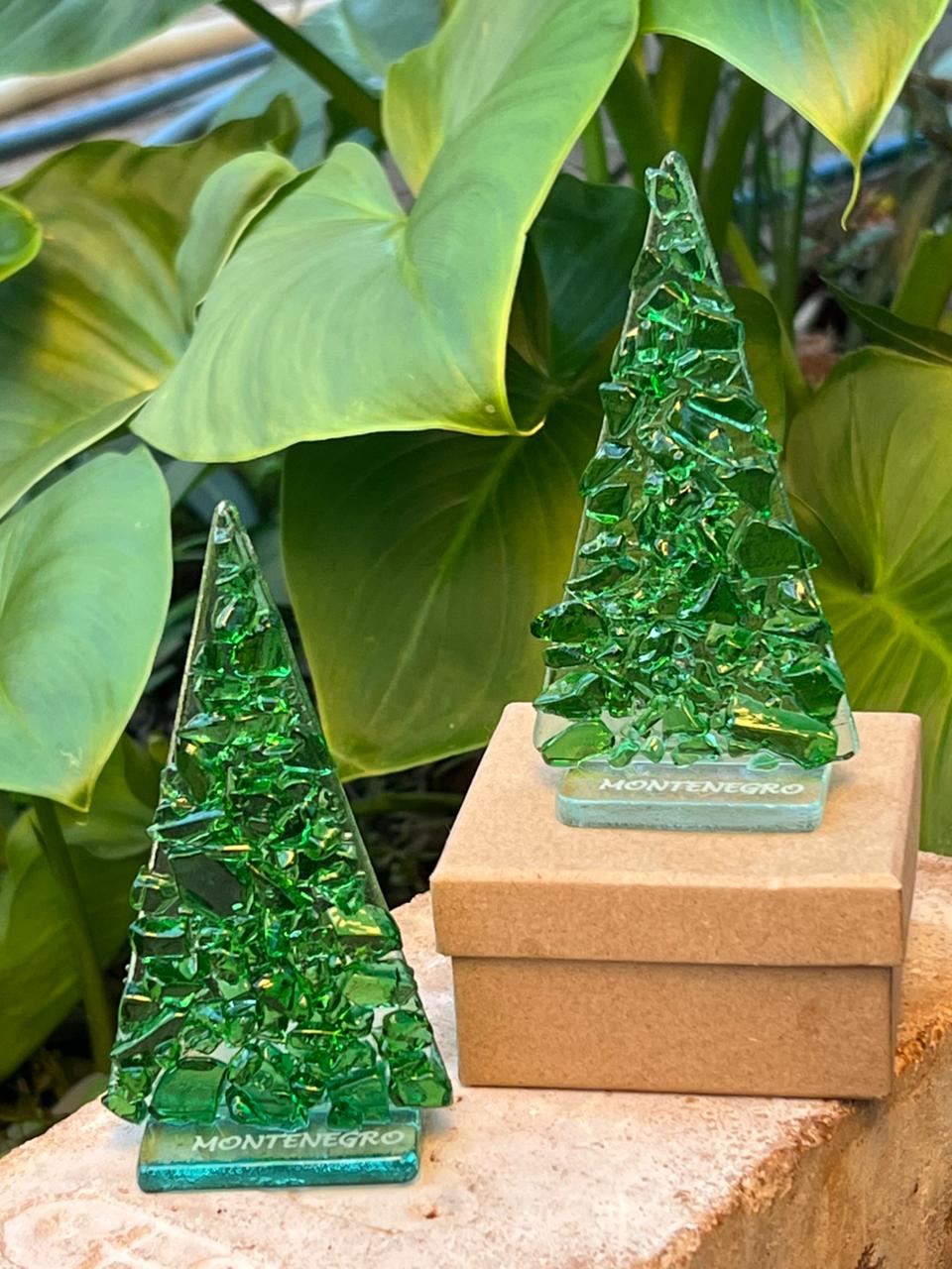 WhatsApp Image 2025-12-13 at 00.17.07_c4d45efa